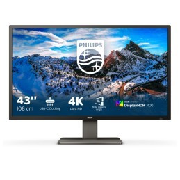 Philips Monitor LCD 439P1/00